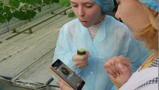 Школьница хрустнула огурцом громче пожарной сирены (фото)