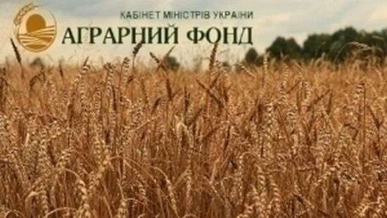 «Мыши» съели: в Аграрном фонде продолжаются злоупотребления, - СМИ