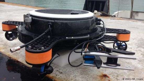 Стаю роботов запустят в венецианскую лагуну