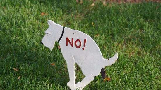 Мэрия Ливерпуля собирается поощрять кляузы на соседей