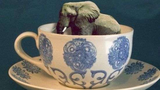 В продаже появился кофе, зерна которого делают из навоза