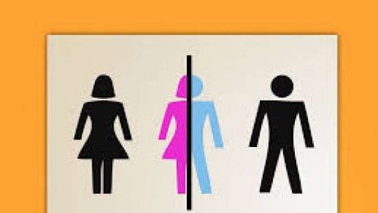 В Украине готовятся узаконить «третий пол»