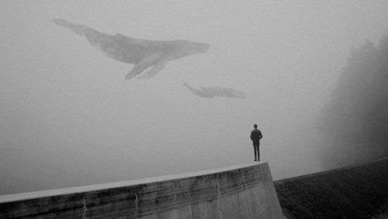 Кураторами группы смерти «синий кит» оказались студенты киевского медуниверситета