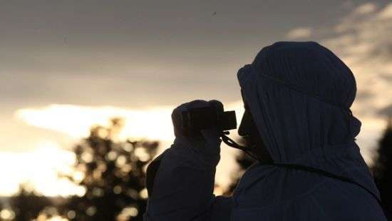 С начала года пограничники задержали 245 нелегалов