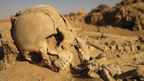 Когда на Земле исчезнут леса и начнется мировой голод, рассказали ученые