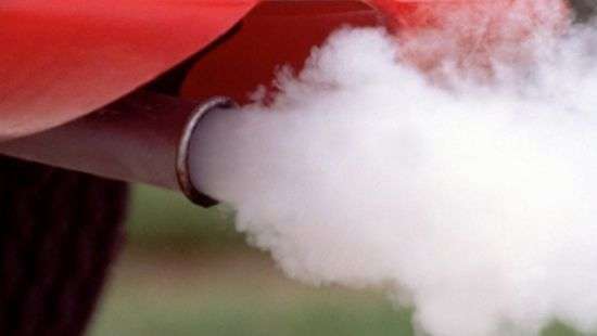 Эксперты назвали продукты, которые защитят организм от выхлопных газов