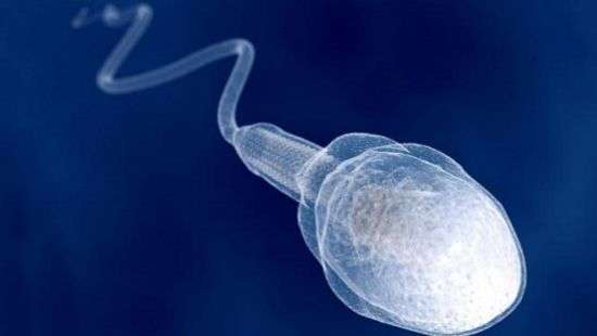 Специалисты нашли взаимосвязь между сезонностью и качеством спермы