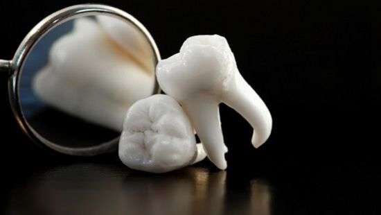 Уникальную технологию выращивания новых зубов создали специалисты