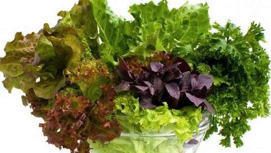 Специалисты назвали самые «грязные» от пестицидов продукты