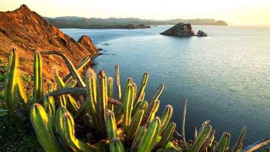 В Мексике обнаружили захоронение 47 жертв мафии