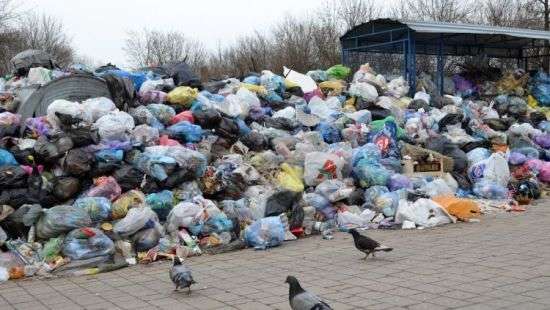 Во Львове могут закрыть детсады и школы из-за проблем с мусором