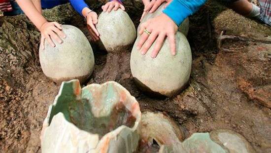 В Китае воры украли 80 окаменелых яиц динозавров