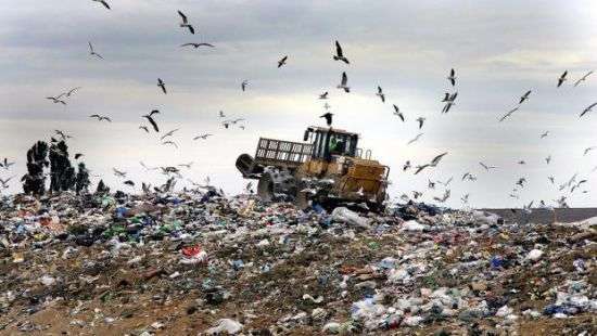 Чернобыльскую зону хотят превратить в свалку львовского мусора