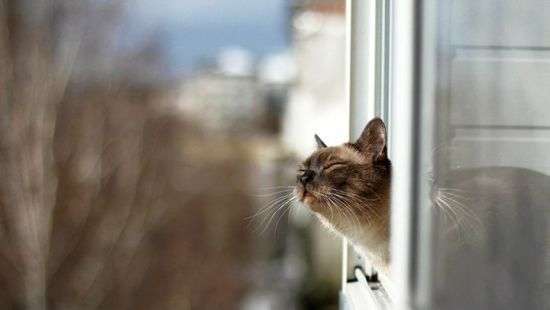 Стало известно, когда в Украину придет долгожданное потепление