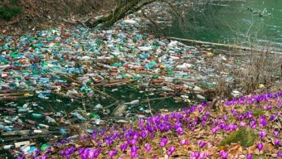 Озеро Синевир местные жители превратили в свалку отходов (фото)