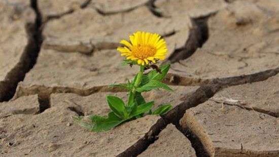 Найдена связь между засухой и плохим здоровьем