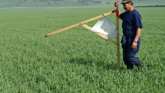 Гройсман раскрыл планы насчет продажи земель