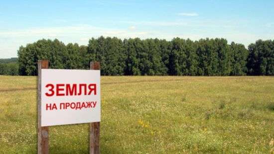 Стало известно условие открытия рынка земли
