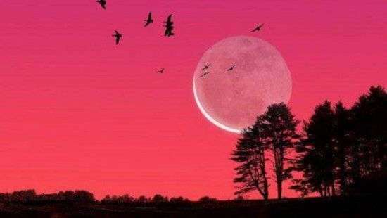 На Пасху на небо взойдет розовая Луна