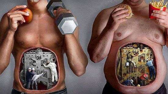 Назван самый «трудолюбивый» орган человеческого организма