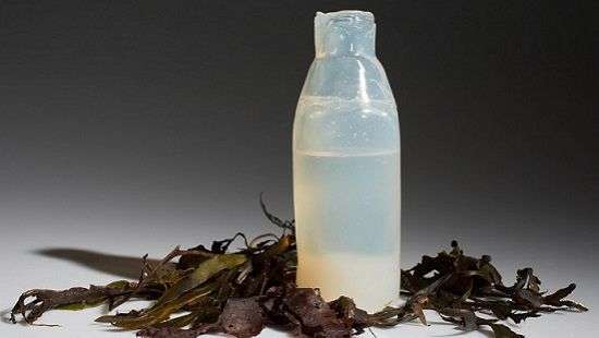 Специалисты изобрели необычные съедобные бутылки