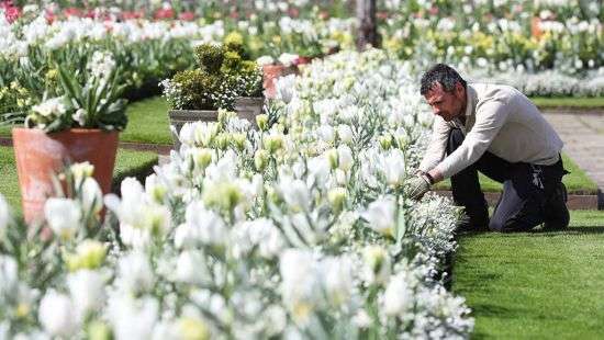 В Лондоне открылся сад принцессы Дианы (фото)