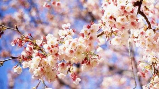 Стало известно, какая погода будет на этой неделе