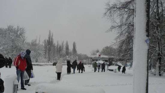 В Харькове из-за снега тысячи домов остались без света, повалено более 700 деревьев (фото/видео)