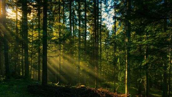 Как повысить иммунитет за полчаса, рассказали специалисты