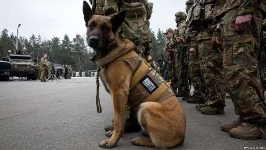 Возле Крыма СБУ проведет антитеррористические учения