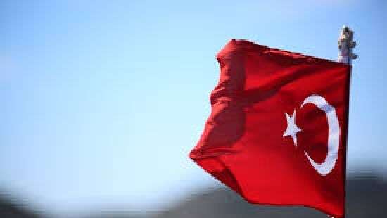 В Турции детсадовцы с игрушечным оружием инсценировали госпереворот