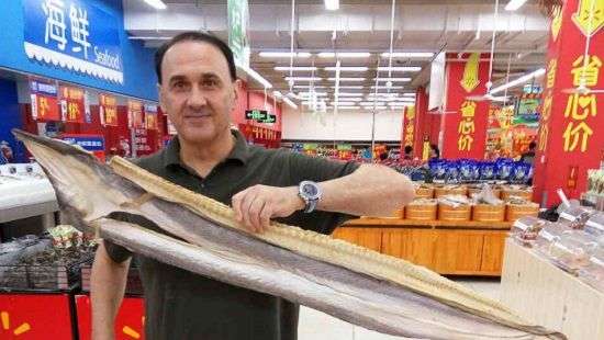 Владимир Гришко ест лягушек, а еще – учит китайский язык (ФОТО)