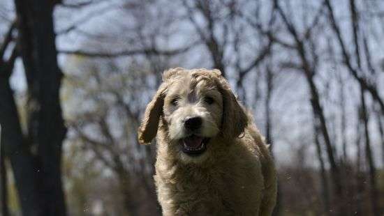 Ученые разработали новый вид камер