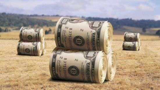 Аграрный сектор будет надежной основой для восстановления банковского сектора – Максим Мартынюк