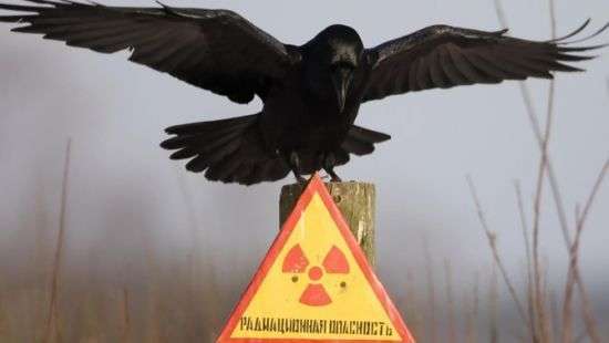 В Украине скоро появится собственное хранилище отработанного ядерного топлива