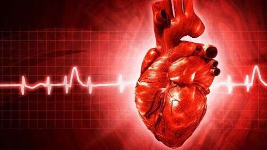 Врачи назвали главный секрет здорового сердца
