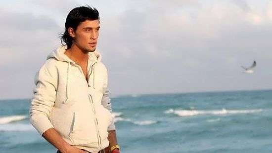 «Миротворец» внес в свою базу Диму Билана