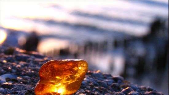 СБУ задержала копателей янтаря, блокировавших здание Ровенской ОГА