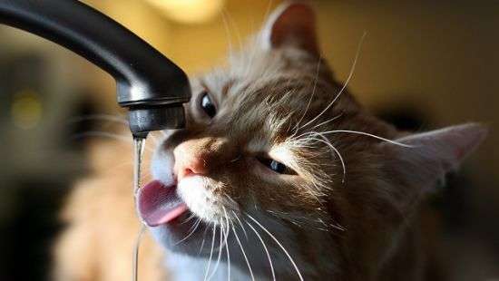 Украинцам придется больше платить за воду