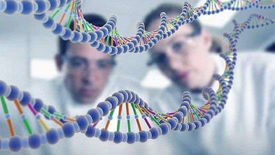 Ученым удалось разработать ГМО - человека