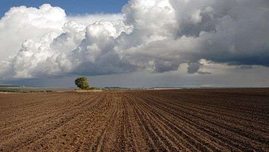 Земельная реформа в Украине откладывается