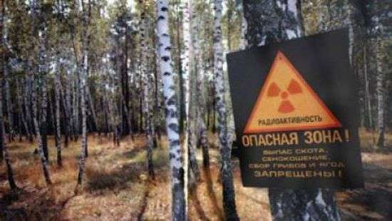 Холостой выстрел: расследование «Слідства» оказалось безосновательным
