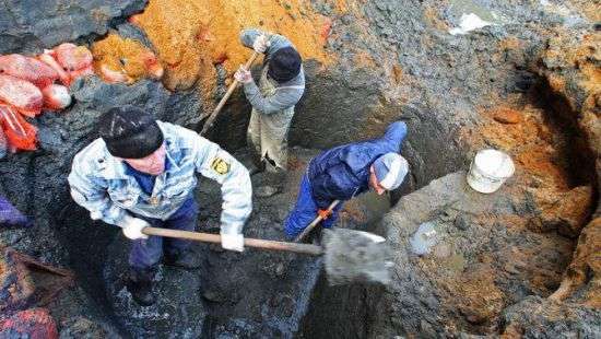 В Нацполиции рассказали об объемах продаж нелегально добытого  янтаря