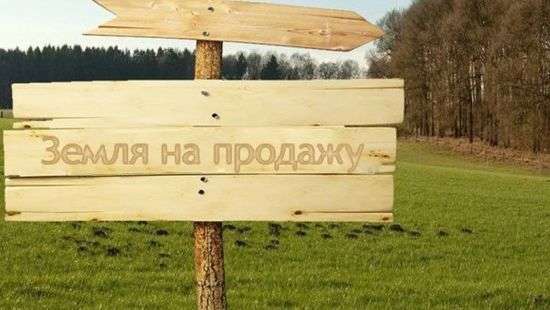 Максим Мартынюк назвал реалии после отмены моратория на продажу земли