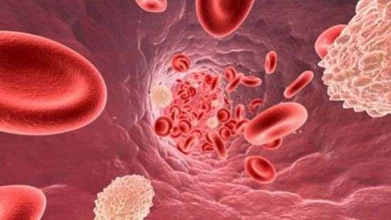 Медики нашли новый метод лечения атеросклероза