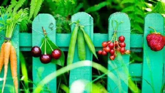 Эксперты рассказали, как легко повысить успеваемость детей