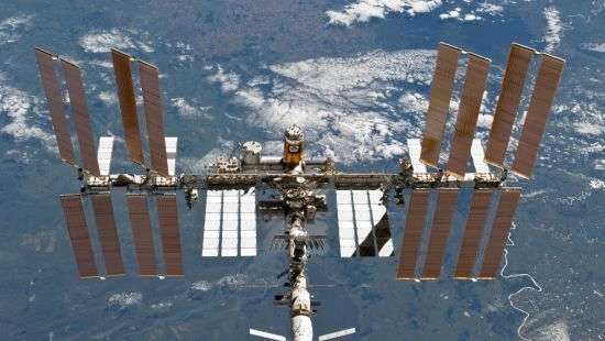 «Роскосмос» не исключает наличия на МКС следов внеземной жизни