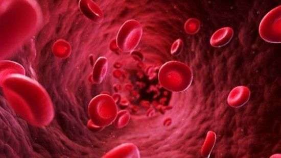 Медики научили клетки крови заживлять раны