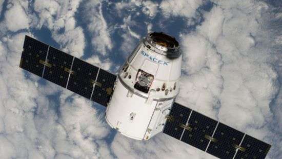 На МКС доставили подопытных животных и насекомых