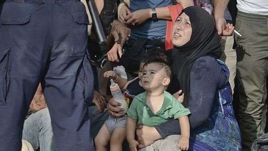 Немцы делают бизнес на беременных беженках